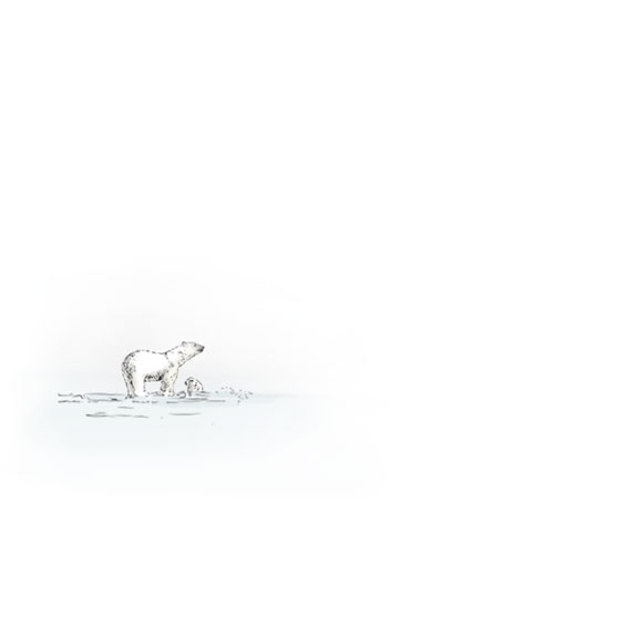 Illustration Eisbärin mit Nachwuchs